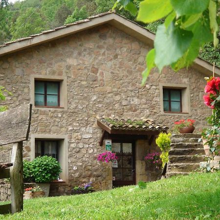 Mas El Bosquet Villa Joanetes Exteriör bild